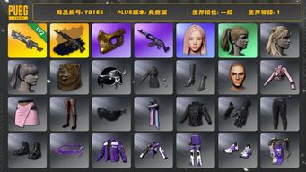 绝地求生（PUBG）[TB165]1段1级（免费版）刻耳柏洛斯M249 小马尾 金面 aespa女团