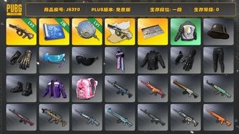 绝地求生（PUBG）3级牛头aug+异色 一级塞壬平底锅 改名卡 多库存 