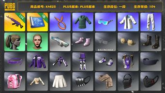 绝地求生（PUBG）[K4625]1段104级 信誉2 4级美杜莎 小马尾 