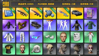 绝地求生（PUBG）[K4624]2段318级 信誉3 6级弥诺陶洛斯 5级美杜莎 1级魔咒 9图纸 卡宴 电磁包 发光手 绿东 白熊脚 丸子头 金面
