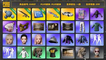 绝地求生（PUBG）[K4627 ]1段230级 信誉2 4级妖魔 2级魔咒 布加迪 电磁包 发光手 小绿东 24女团丹尼尔 25女团宁宁/GISELLE 小马尾 金面