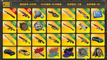 绝地求生（PUBG）二段451级  信誉3 10级孙悟空+异色  10级美杜莎  5级霓虹  5级赛博  5级玩偶  4级圣诞AK+异色  1级牛头  1级午夜  1级无重力  1级无信号+异色  1级德拉贡  1级沙悟净  1级猪八戒  1级小兔  1级恶魔  1级火麒麟  2级白虎锅  2级唐三藏+异色  南瓜异色  烟枪烟弹  4图纸  双马丁  金迈凯伦  斗鱼夹克  小战神  悲喜  拉风龙  丑男  小马