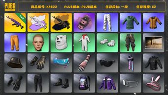 绝地求生（PUBG）[K4633]1段53级 信誉2 4级美杜莎+双异色 烟雾弹 黄东