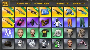 绝地求生（PUBG）[K4634]2段133级 信誉4 3级美杜莎 3级水麒麟 3级弥诺陶洛斯 2级八戒 1级权志龙AUG 1级时光 发光手 白战神 丸子头 金面