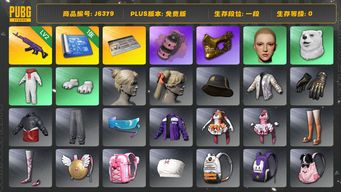 绝地求生（PUBG）2级美杜莎+烟雾弹 1图纸 改名卡 白熊 金面 