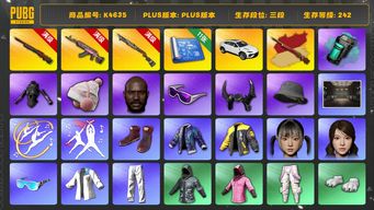 绝地求生（PUBG）[K4635]3段242级 信誉2 10级孙悟空+异色 10级火麒麟 6级s1897 烟雾弹 11图纸 不行 黑鬼 滑雪镜 牛角 丸子头 小马尾 HAERIN HYEIN