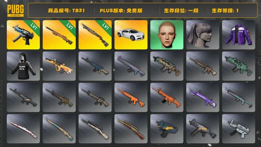 绝地求生（PUBG）[TB31]1段1级（免费版）夜曲M24 烈日灼烧S1897 寒蚀MP5K 布加迪普通跑车 布加迪威龙