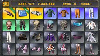 绝地求生（PUBG）[TB203]1段1级（免费版）黄东 美杜莎762 丸子头 小绿东 布加迪普通跑车 星魂虎虎生威大礼包 拉风龙套装 小叮当套装 布加迪威龙