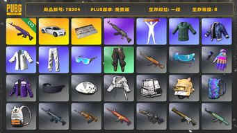 绝地求生（PUBG）[TB204]1段8级（免费版）美杜莎762 小绿东 布加迪普通跑车 aespa女团 星魂虎虎生威大礼包 拉风龙套装 小叮当套装 布加迪威龙