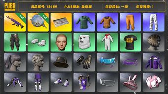 绝地求生（PUBG）[TB180]1段1级（免费版）黄东 美杜莎762 塞壬平底锅 小绿东 星魂虎虎生威大礼包 拉风龙套装 小叮当套装