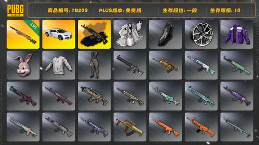 绝地求生（PUBG）[TB209] 1段1级（免费版）夜曲M24 布加迪普通跑车 布加迪威龙