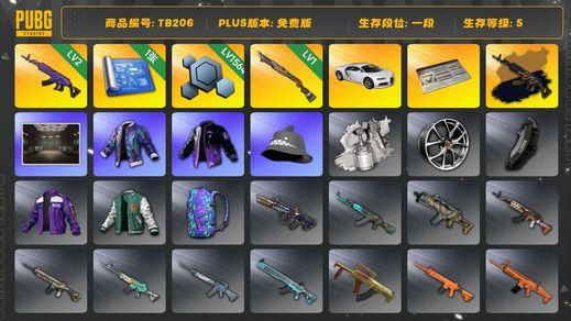 绝地求生（PUBG）[TB206]1段1级（免费版）美杜莎762 烈日灼烧S1897 布加迪普通跑车 aespa女团 布加迪威龙