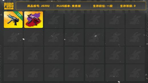 绝地求生（PUBG）寒蚀MP5K原皮+异色