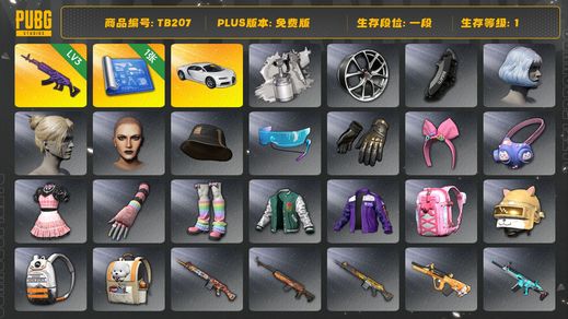 绝地求生（PUBG）[TB207]1段1级（免费版）美杜莎762 布加迪普通跑车 拉风龙套装 小叮当套装 布加迪威龙