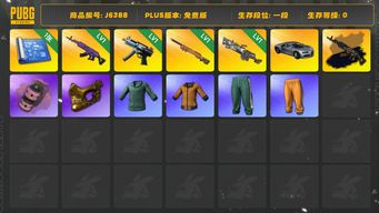 绝地求生（PUBG）布加迪豪华版，一级美杜莎原皮+金异色，一级寒蚀mp5原皮，一级小夜曲m24原皮，一级栢洛斯m249原皮，粉色烟雾弹，一张图纸，金面，绿东，黄东，女老黑，芳心女猎手自行车。