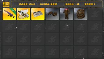 绝地求生（PUBG）美杜莎原皮，AUG异色，棕熊套，改名卡，多车皮多枪皮，多套装