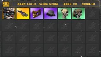 绝地求生（PUBG）[CC15123]CC15123/可排位/2段/480级/3张图纸/911/阿斯顿马丁跑车/阿斯顿马丁SUV/3级霓虹AUG/金面/双马尾/丸子头/渔夫帽