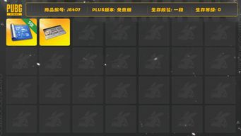 绝地求生（PUBG）五张图纸，改名卡，多枪皮多车皮