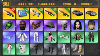绝地求生（PUBG）9S 保时捷卡宴 美杜莎762 黑鬼 金面 无重力MP5K HANNI 猪八戒M416 翡翠色烟雾弹 弥诺陶洛斯AUG 保时捷911 aespa女团 NewJeans女团 尼尔大礼包 星魂虎虎生威大礼包 拉风龙套装 烟雾弹 保时捷 保时捷 NewJeans女团 尼尔大礼包