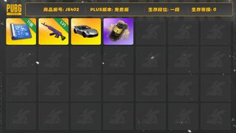 绝地求生（PUBG）美杜莎原皮，保时捷911，11张图纸，黄色烟雾弹，圣诞之子套装，PNC女套装