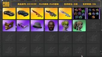 绝地求生（PUBG）[CC15133]CC15133/可排位/3段/154级/改名卡/烟枪/烟雾弹/阿斯顿马丁SUV/阿斯顿马丁跑车/6级霓虹AUG/4级圣诞mini/2级魔咒mk12/圣诞套装/竞猜裤/滑雪镜/滑雪帽/金面/黑鬼/小绿头/双马尾/渔夫帽/白熊/青海摇