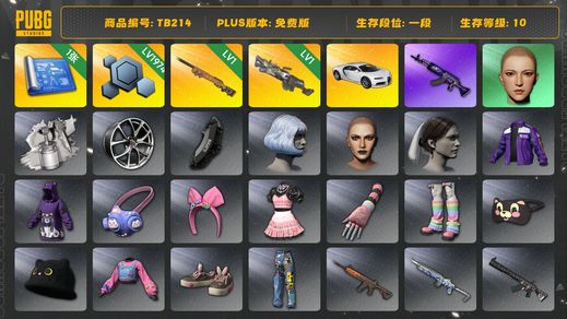 绝地求生（PUBG）[TB214]1段10级（免费版）夜曲M24 刻耳柏洛斯M249 布加迪普通跑车 布加迪威龙