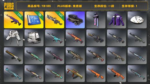 绝地求生（PUBG）[TB185]1段1级（免费版）刻耳柏洛斯M249 美杜莎762