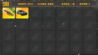 绝地求生（PUBG）陶洛斯aug，一张图纸，保时捷卡宴，工坊好物