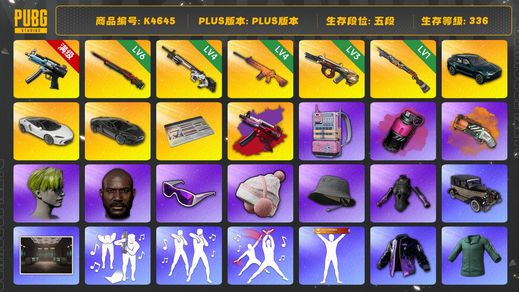 绝地求生（PUBG）[K4645]5段336级 信誉3 6级寒蚀+异色 6级孙悟空 4级赛博 4级南瓜 3级牛头 1级烈日 烟弹烟枪 马丁 双迈凯伦 小战神  悲喜  黑鬼 滑雪镜 渔夫帽 