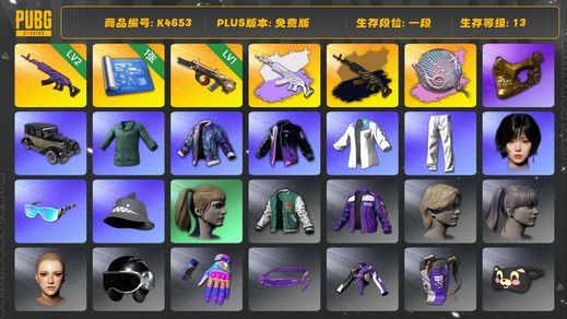 绝地求生（PUBG）[K4653]1段13级（未开通排位） 信誉2 2级美杜莎+双异色 1级牛头 塞壬异色 1图纸 星魂套 女团金冬天  金面 