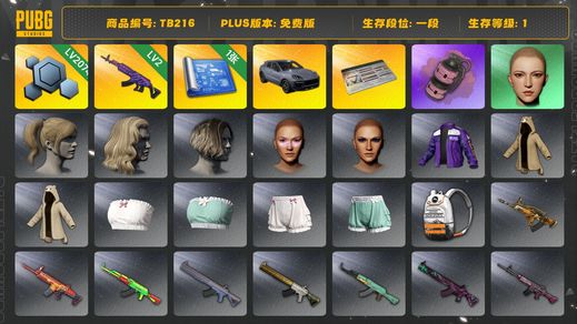 绝地求生（PUBG）[TB216]1段1级（免费版）保时捷卡宴 美杜莎762 粉色烟雾弹 aespa女团 保时捷 烟雾弹