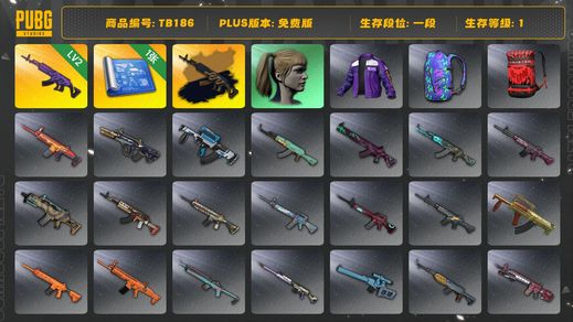 绝地求生（PUBG）[TB186]1段1级（免费版）小马尾 美杜莎762