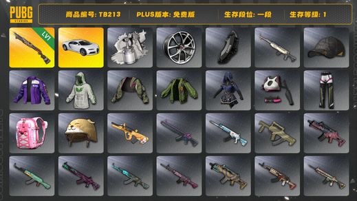 绝地求生（PUBG）[TB213]1段1级（免费版）烈日灼烧S1897 布加迪普通跑车 布加迪威龙