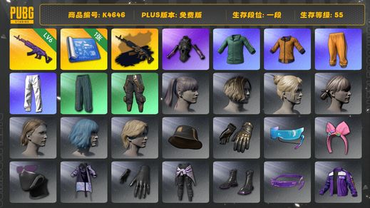 绝地求生（PUBG）[K4646]1段55级（未开通排位）  信誉2 6级美杜莎+异色  1图纸 黄东 绿东 萨芬裤 发光手 