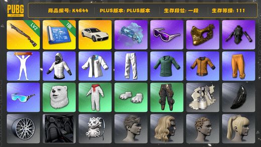 绝地求生（PUBG）[K4644]1段111级 信誉2 2级烈日 烟枪 图纸 帕拉梅拉 黄东 绿东 金面 滑雪镜 