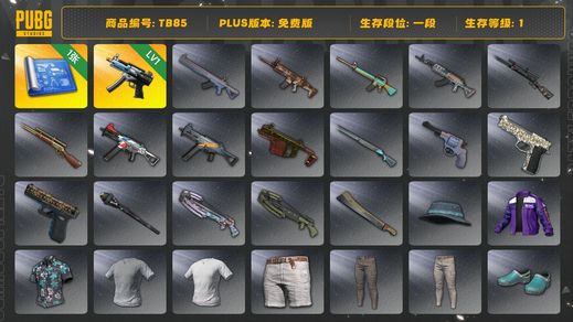 绝地求生（PUBG）[TB85]1段1级（免费版）奢华布加迪图样  奢华布加迪车漆图样 寒蚀MP5K