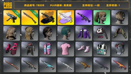 绝地求生（PUBG）[TB226]1段1级（免费版）小马尾 美杜莎762异色 烈日灼烧S1897 寒蚀MP5K
