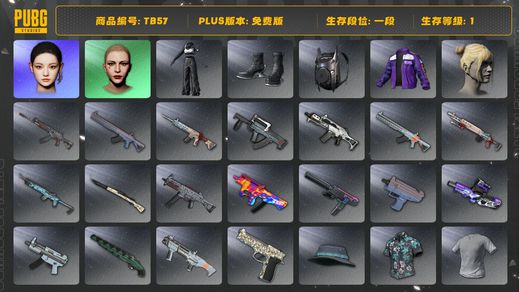 绝地求生（PUBG）[TB57]1段1级（免费版）丸子头 aespa女团