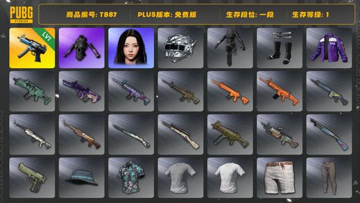 绝地求生（PUBG）[TB87]1段1级（免费版）发光手臂 寒蚀MP5K aespa女团