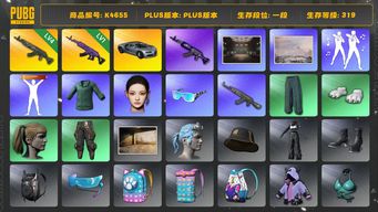 绝地求生（PUBG）[K4655]1段319级 信誉1 4级青龙 1级美杜莎 布加迪豪华款 帕梅图样 绿东 萨芬裤 白熊脚 小马尾 女团ningning