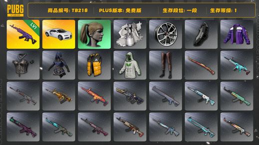 绝地求生（PUBG）[TB218]1段1级（免费版）小马尾 美杜莎762 布加迪普通跑车 布加迪威龙