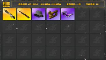 绝地求生（PUBG）[CC15170]CC15170/可排位/1段/171级/6级孙悟空M24/1级赛博MK12/电磁背包/黄东/白战神/滑雪镜/金面/脏辫/渔夫帽