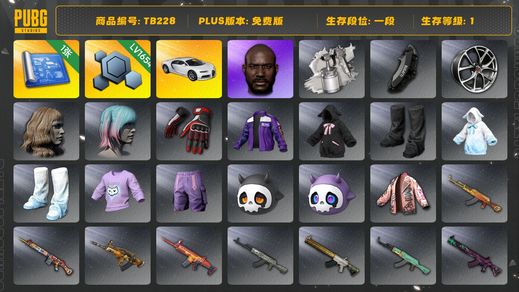 绝地求生（PUBG）[TB228]1段1级（免费版）黑鬼 布加迪普通跑车 aespa女团 布加迪威龙