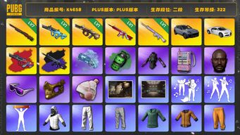 绝地求生（PUBG）[K4658]2段322级 信誉4 7级孙悟空 1级权志龙+异色 1级牛头 1级无信号+异色 1级玩偶大炮 布加迪 卡宴 烟弹烟枪 黑鬼 金面 滑雪镜 小马尾 白战神 黄东 