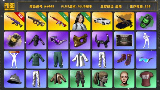 绝地求生（PUBG）[K4665]四段258级  信誉3  10级美杜莎+异色  4级牛头  1级无信号  烟弹  布加迪  瀚娜  绿东  拉风龙  小马尾  丸子头  维纳斯  金面  滑雪镜  牛角