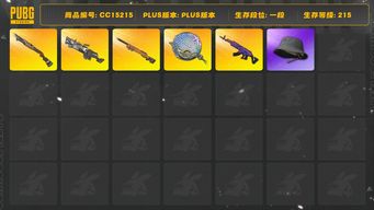 绝地求生（PUBG）[CC15215]CC15215/可排位/1段/215级/2级烈日s1897/2级刻耳M249/2级塞壬平底锅/1级美杜莎/1级夜曲M24/渔夫帽/脏辫