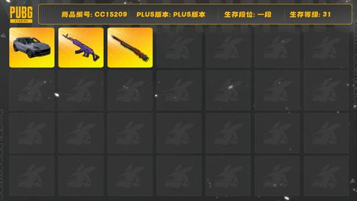 绝地求生（PUBG）[CC15209]CC15209/可排位/1段/31级/1张图纸/改名卡/卡宴/4级美杜莎/1级孙悟空M24/星魂套装