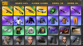 绝地求生（PUBG）[K4674]2段384级 信誉1 6级恶魔 4级赛博 2级弥诺陶洛斯 烟弹 兰博SUV 白战神 绿东 黄东 白熊脚 滑雪镜