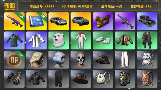 绝地求生（PUBG）[K4673]1段434级  信誉1  卡宴  911  3级美杜莎  2图  金面  白熊  拉风龙