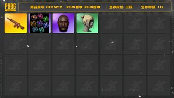 绝地求生（PUBG）[CC15212]CC15212/可排位/3段/112级/1张图纸/烟雾弹/8级朱雀M4/拉风龙套装/黑鬼/丸子头